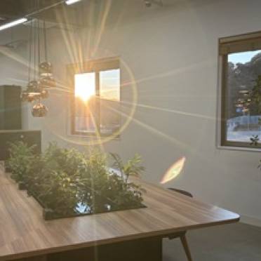 冬の朝、温かな朝日が差し込む風景